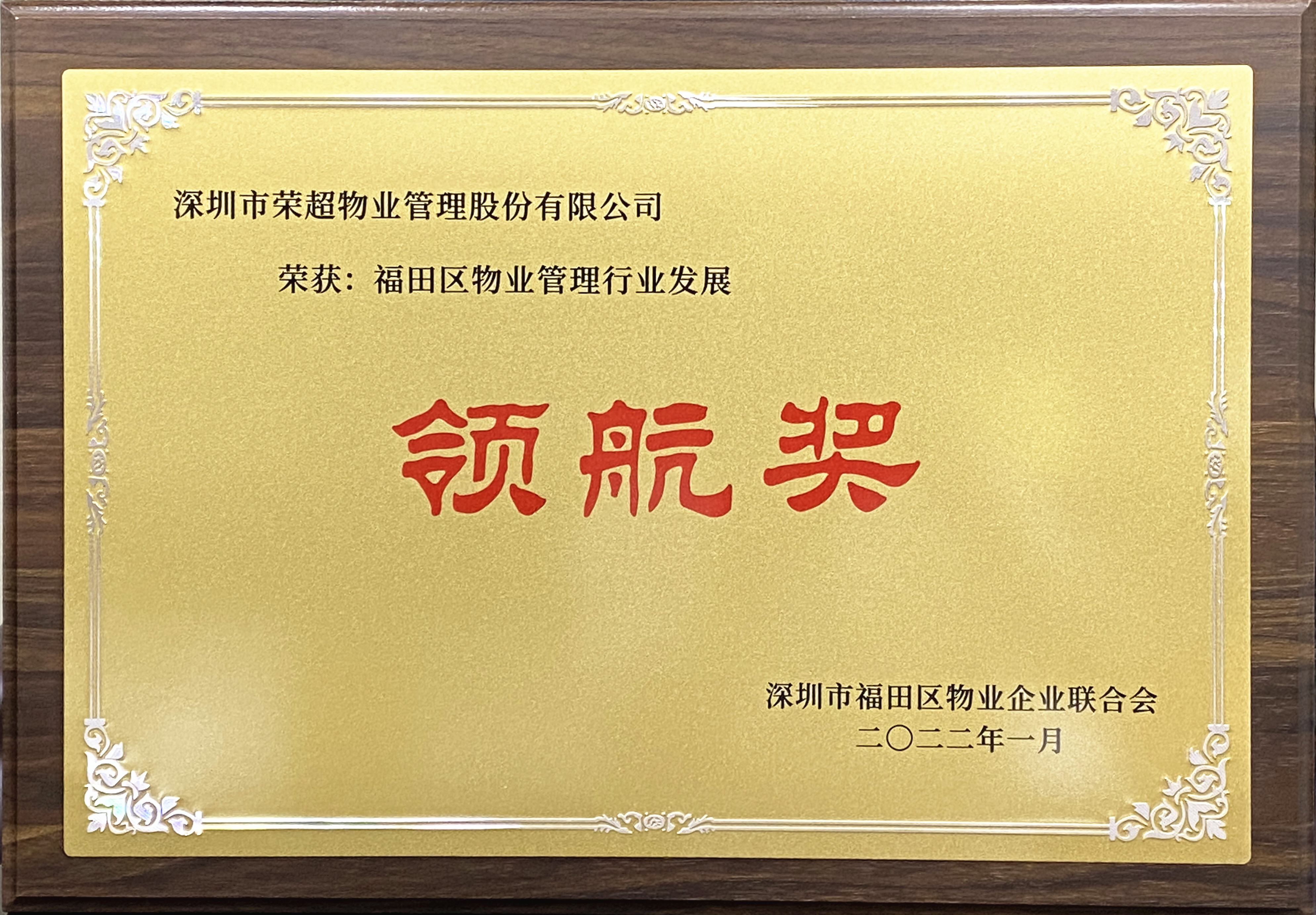 領(lǐng)航獎牌匾.jpg